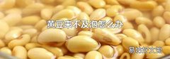 黄豆来不及泡怎么办