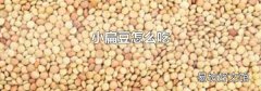 小扁豆怎么吃
