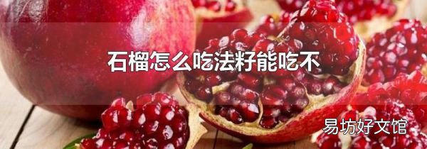 石榴怎么吃法籽能吃不