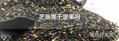 芝麻属于坚果吗