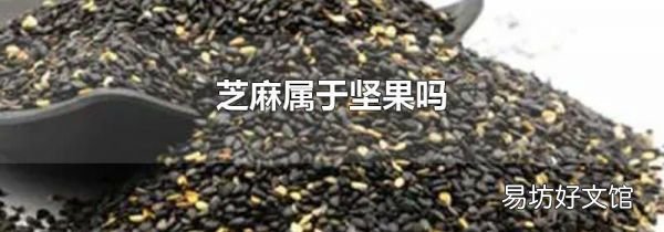 芝麻属于坚果吗
