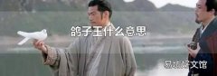 鸽子王什么意思