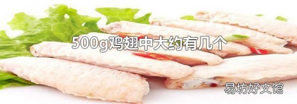 500g鸡翅中大约有几个