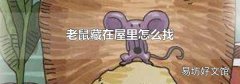 老鼠藏在屋里怎么找