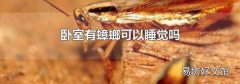 卧室有蟑螂可以睡觉吗
