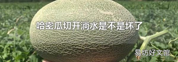 哈密瓜切开淌水是不是坏了