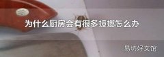 为什么厨房会有很多蟑螂怎么办