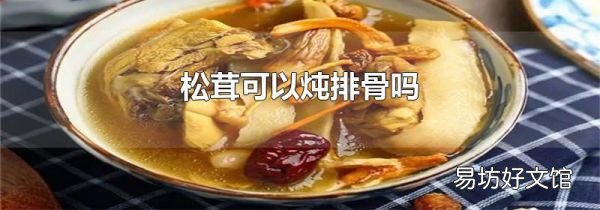 松茸可以燉排骨嗎