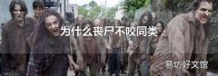 为什么丧尸不咬同类