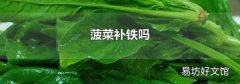 菠菜补铁吗