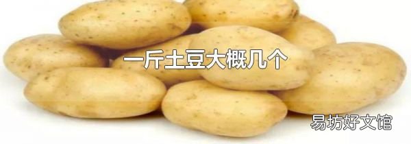 一斤土豆大概幾個(gè)