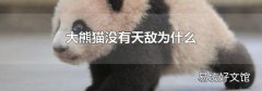 大熊猫没有天敌为什么