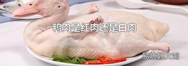鸭肉是红肉还是白肉