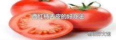 西红柿去皮的好办法