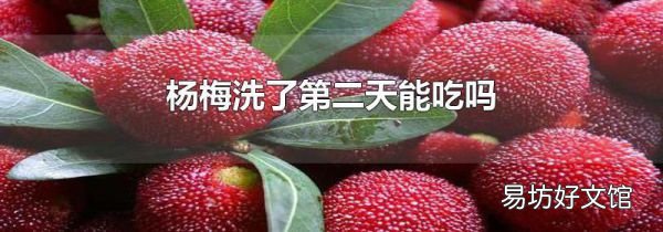 杨梅洗了第二天能吃吗