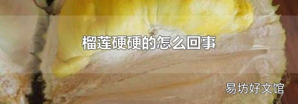 榴莲硬硬的怎么回事