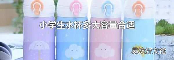小學(xué)生水杯多大容量合適