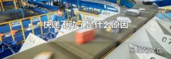 快递不动了是什么原因