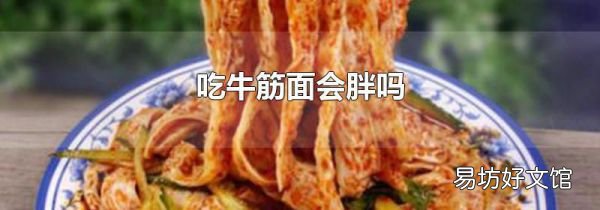吃牛筋面會胖嗎