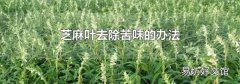 芝麻叶去除苦味的办法