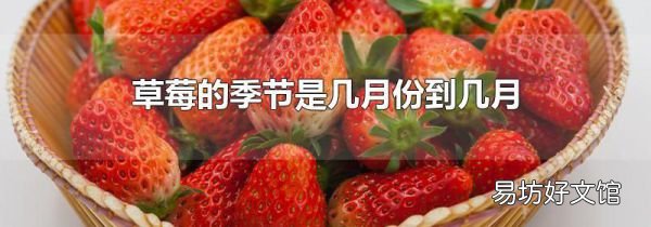 草莓的季节是几月份到几月