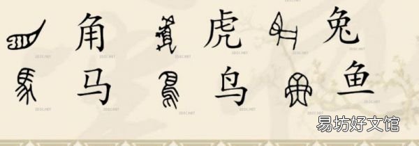 甲骨文為什么沒有夏