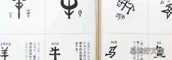 甲骨文為什么在臺灣