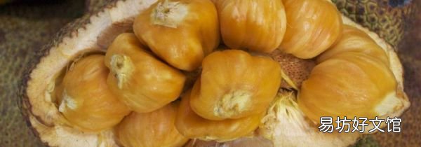 菠蘿蜜脂肪含量高嗎