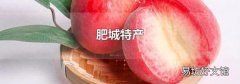 肥城特产