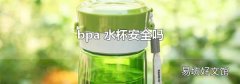 bpa 水杯安全吗