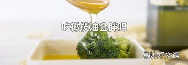 吃橄榄油会胖吗