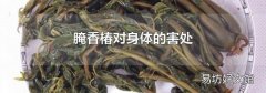 腌香椿对身体的害处