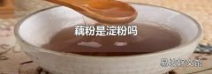藕粉是淀粉吗