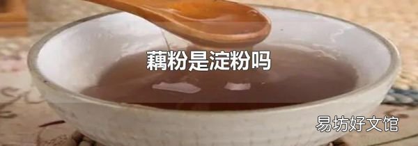 藕粉是淀粉吗
