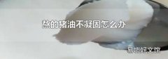 熬的猪油不凝固怎么办
