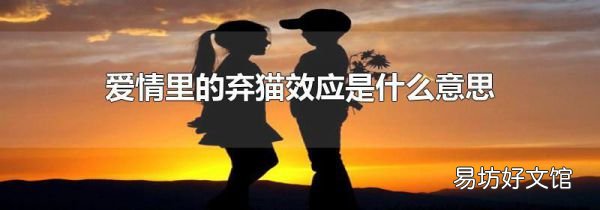 爱情里的弃猫效应是什么意思