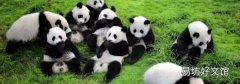 熊猫会认饲养员吗