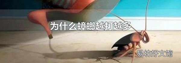 为什么蟑螂越打越多