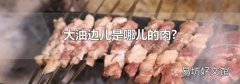大油边儿是哪儿的肉?