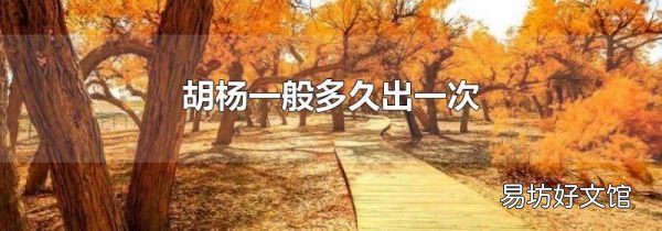 胡杨一般多久出一次
