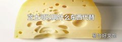 芝士可以用什么东西代替