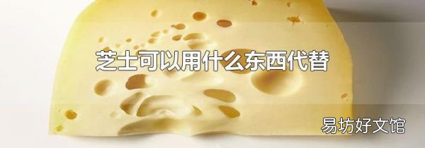 芝士可以用什么东西代替