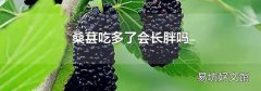 桑葚吃多了会长胖吗