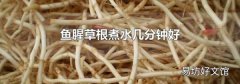鱼腥草根煮水几分钟好