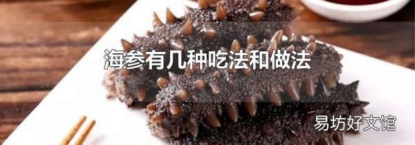 海参有几种吃法和做法