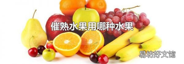 催熟水果用哪种水果