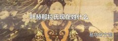叶赫那拉氏现在姓什么