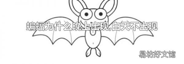 蝙蝠为什么晚上出现,白天不出现