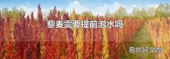 藜麦需要提前泡水吗