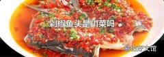 剁椒鱼头是川菜吗